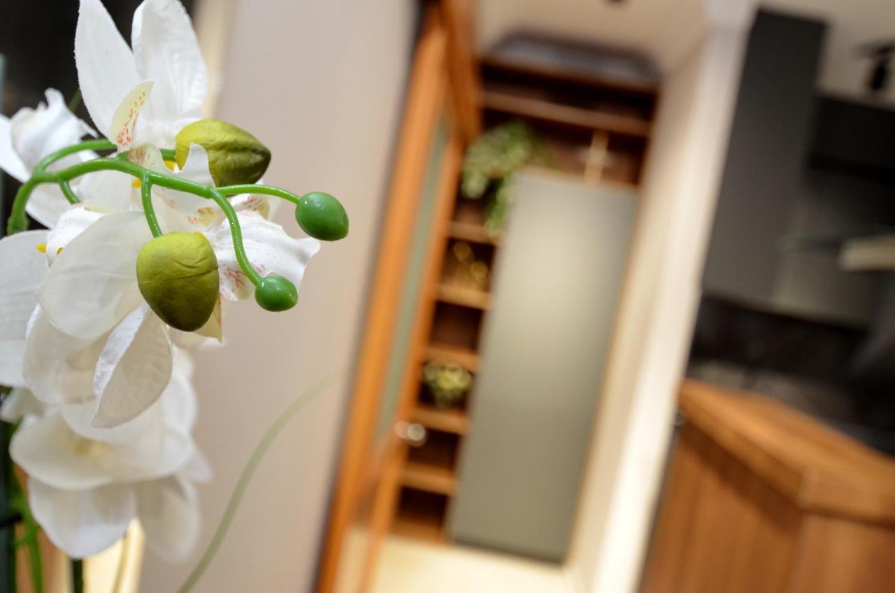 Boka Devine Residence Kotor Kültér fotó